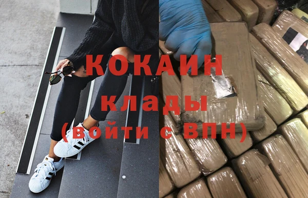 СК Вязьма