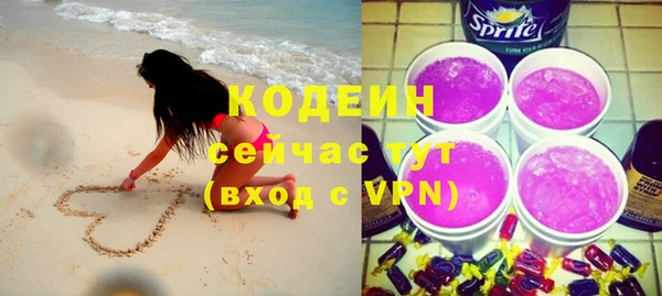 хмурый Гусев