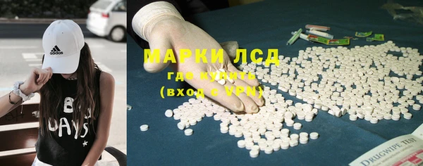 СК Вязьма
